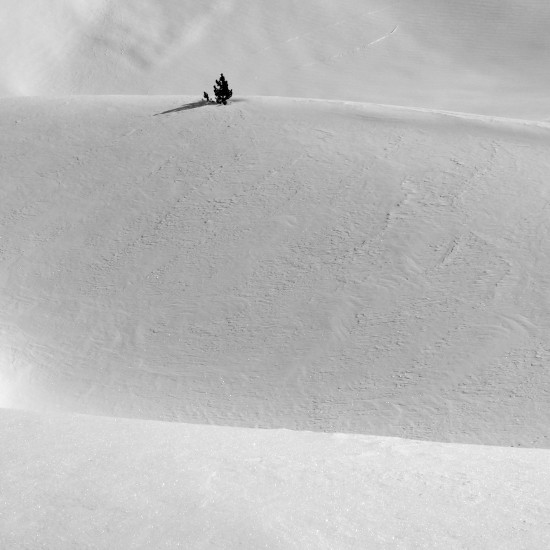 Hebdo Photo 2014 - Semaine 10