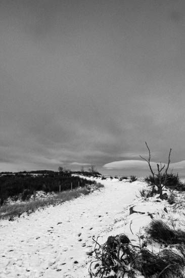 Hebdo 202 - emaine 47