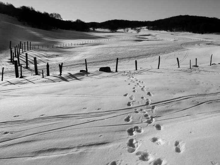 Hebdo Photo 2012 - Semaine 2