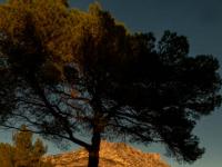 Hedo 2025 - Semaine 44