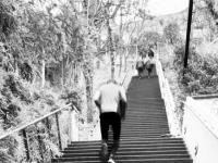 Hebdo 2025 - Semaine 50