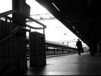 Hebdo Photo 2012 - Semaine 47