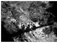 Ombres (série « autoportrait »)