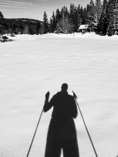 Hebdo 2025 - Semaine 48